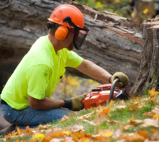 tree services Russellville